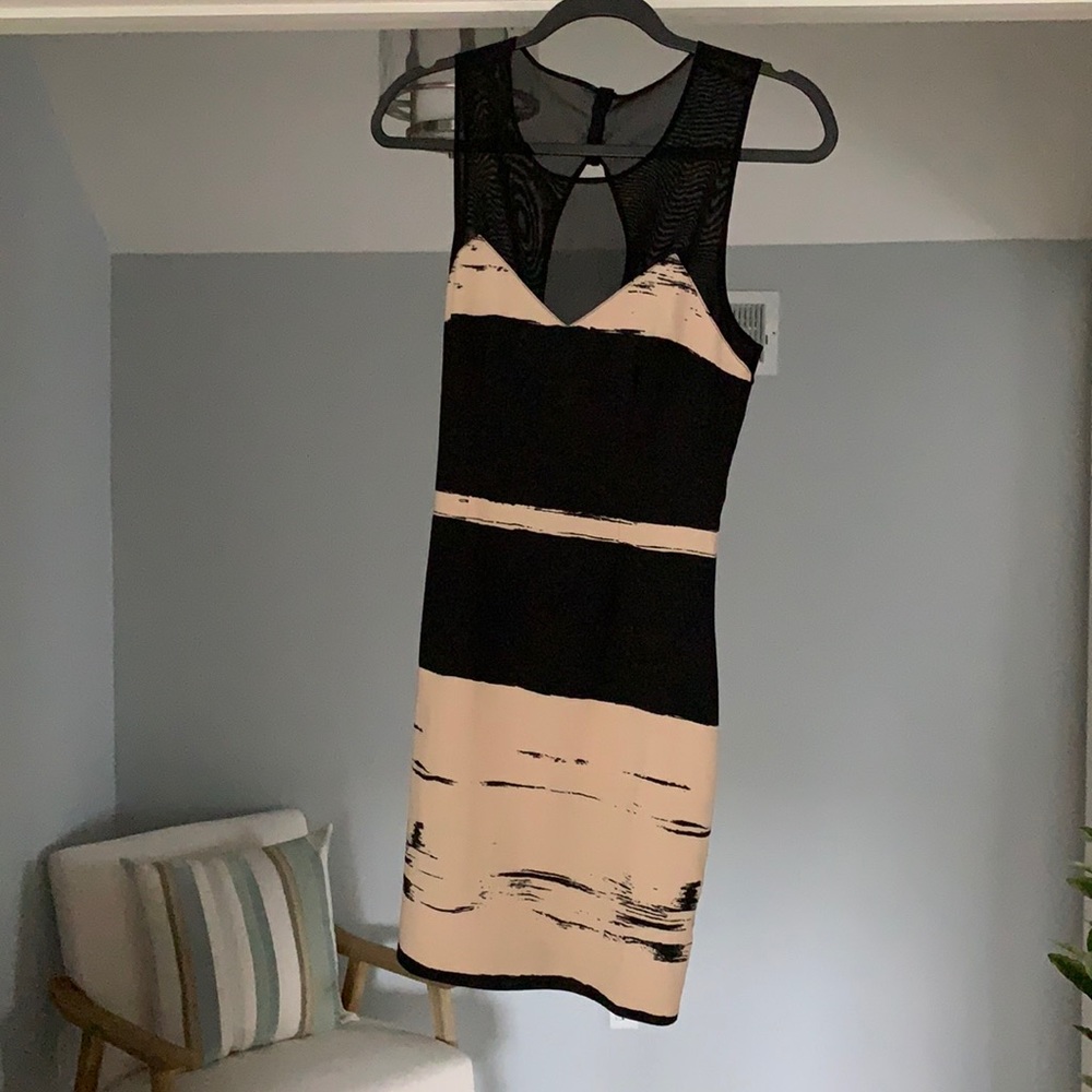Mini Dress- neutral colors and mesh detail